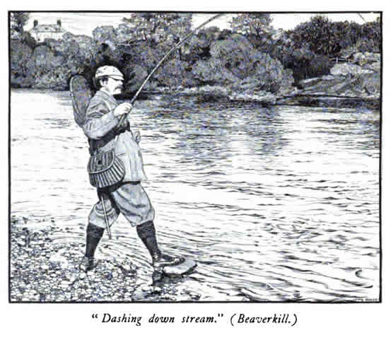 English Fishing at www.eugenemacri.com
